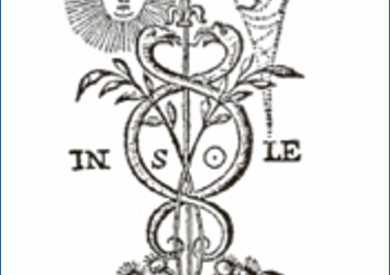 Debora Bedolis – Arteterapeuta