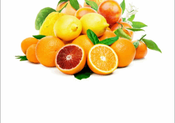 La Casa degli Agrumi