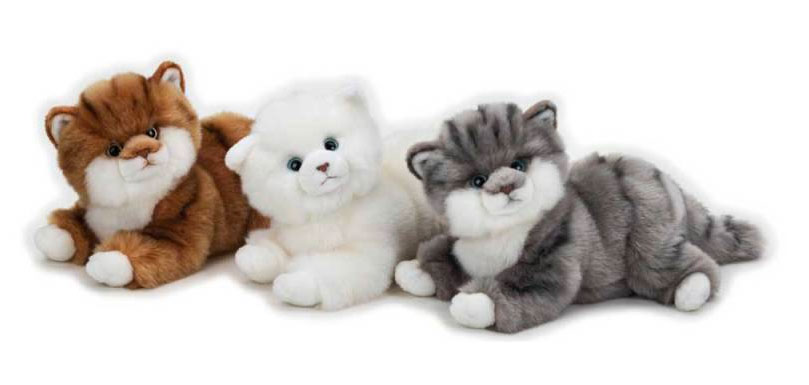 XV Edizione Eccemarket 12 Maggio 2019 – Dona i tuoi Peluche